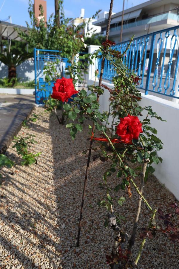 Traditional Town Garden Apartment Rhodes City Exterior foto